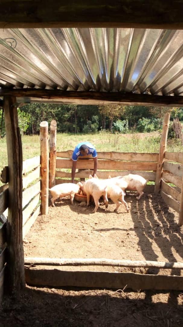 Rubuguli Karungi Camp 빌라 외부 사진